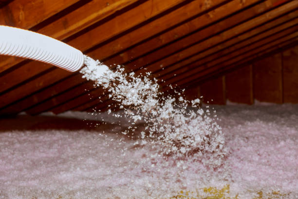 Best Specialized Insulation Services in Lamont, MI