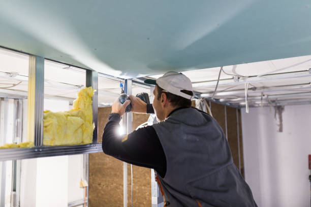 Best Blown-in Insulation in Lamont, MI