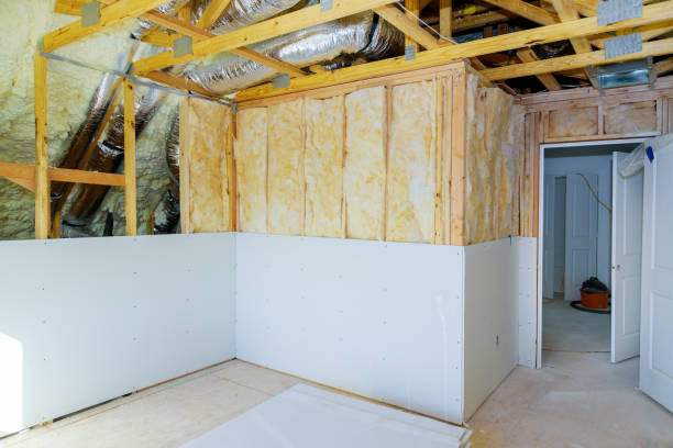 Best Geographic-Specific Insulation Services in Lamont, MI