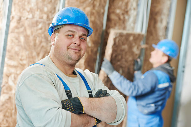 Best DIY Insulation Kits and Guidance in Lamont, MI