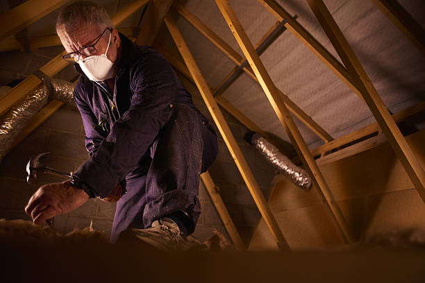 Best Fiberglass Insulation in Lamont, MI