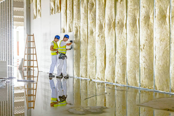 Best Residential Insulation in Lamont, MI
